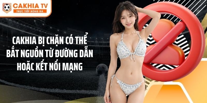 Cakhia bị chặn có thể bắt nguồn từ đường dẫn hoặc kết nối mạng