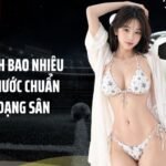 Khung Thành Bao Nhiêu Mét, Kích Thước Chuẩn Cho Từng Dạng Sân