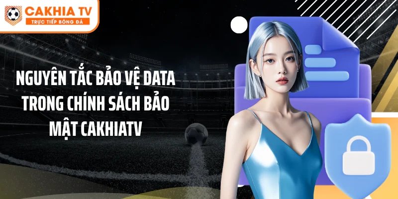 Nguyên tắc bảo vệ data trong chính sách bảo mật Cakhiatv