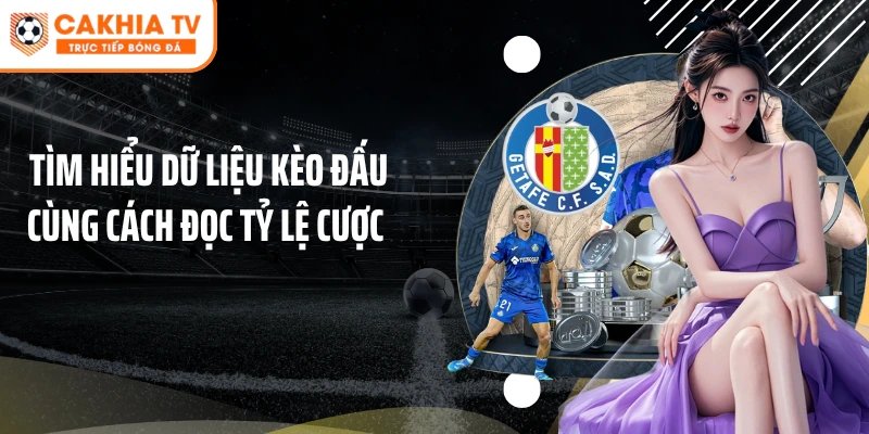 Tìm hiểu dữ liệu kèo đấu cùng cách đọc tỷ lệ cược 
