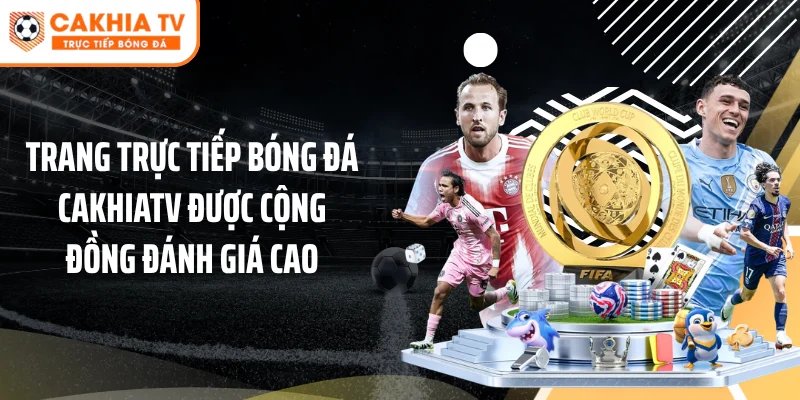 Trang trực tiếp bóng đá Cakhiatv được cộng đồng đánh giá cao